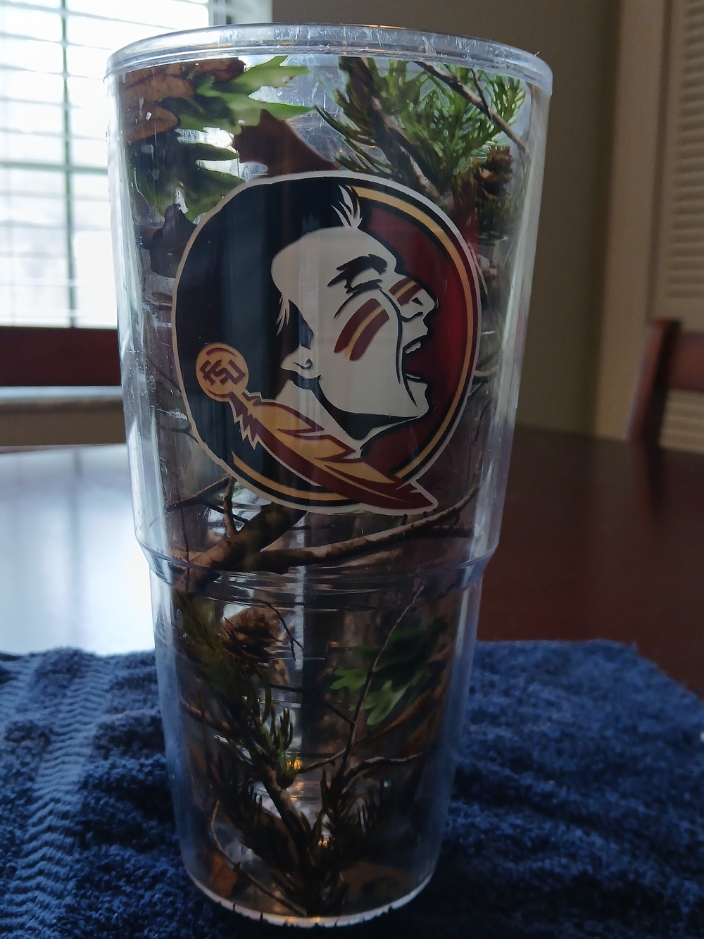 Florida State Seminoles Clear Tumbler with Team Logo